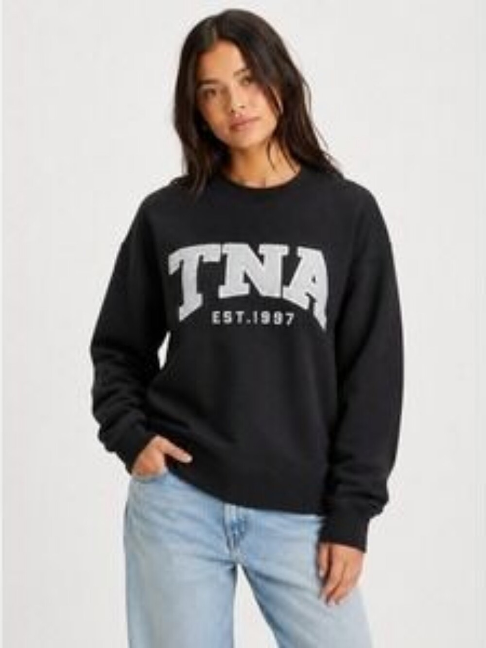 aritzia boyfriend crewneck TNA
